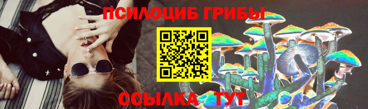 Псилоцибиновые грибы прущие грибы  Вход с VPN  Псилоцибиновые грибы Cubensis  Чехов 